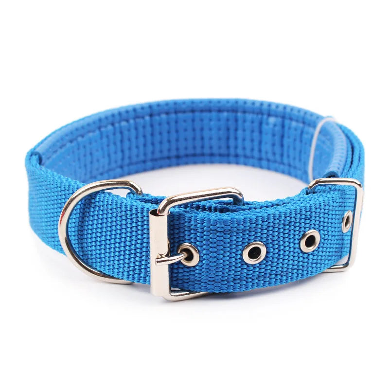Collier en nylon pour chien