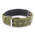 Collier en nylon pour chien