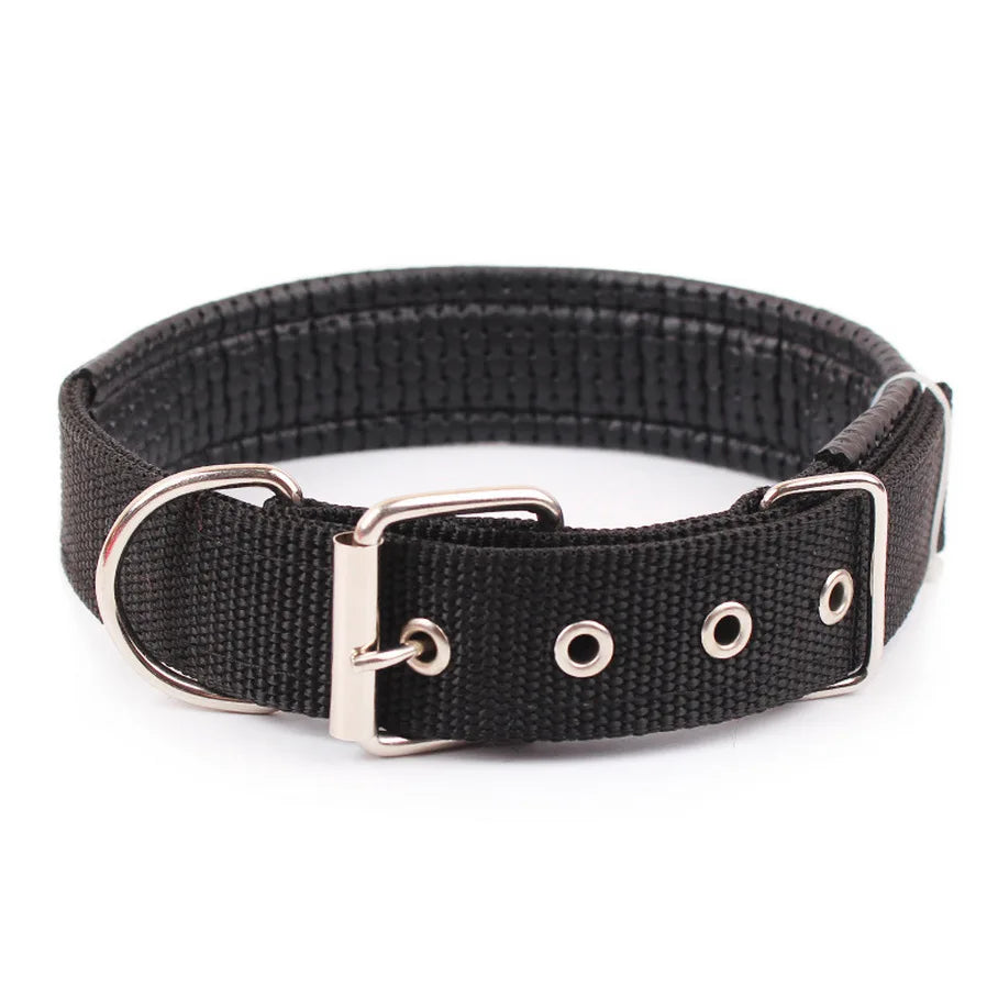 Collier en nylon pour chien