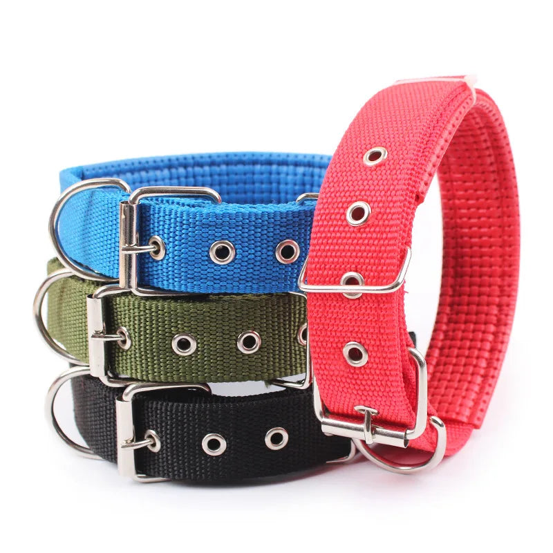 Collier en nylon pour chien