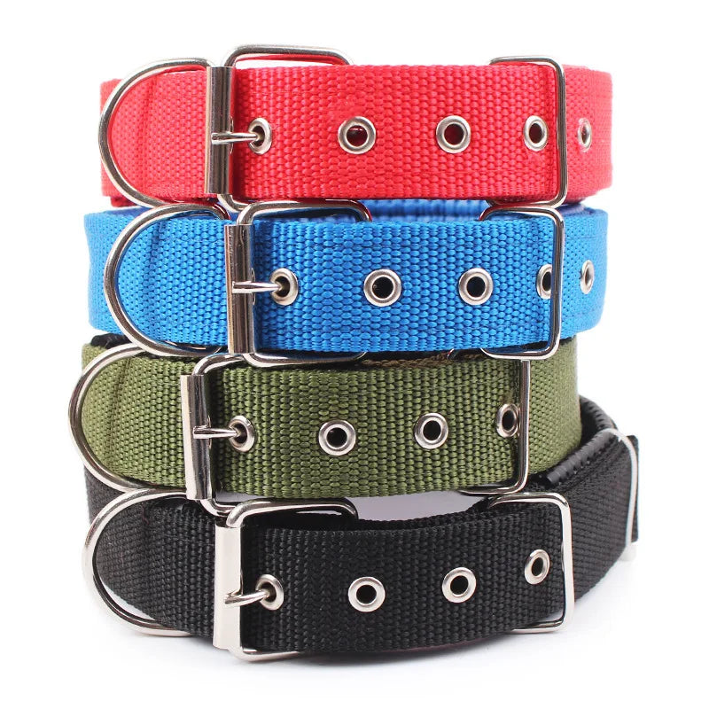 Collier en nylon pour chien