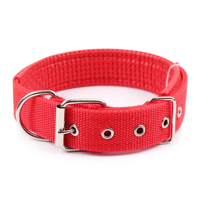 Collier en nylon pour chien