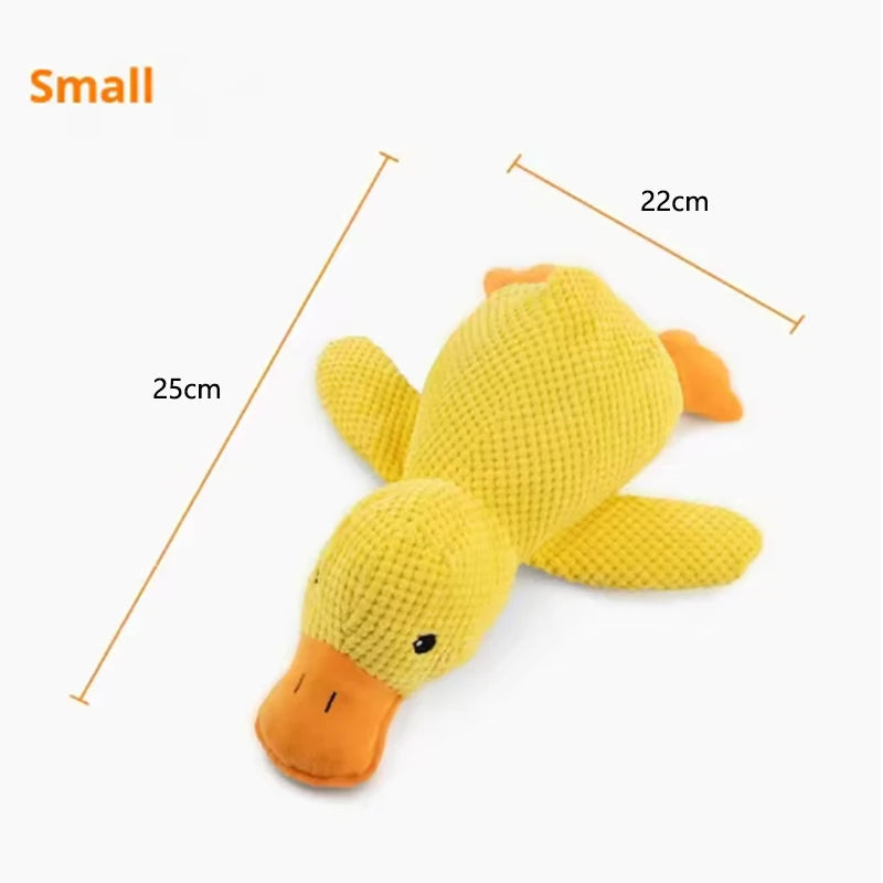 Peluche canard couineuse pour chien