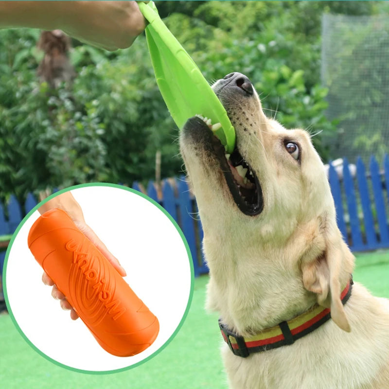 Frisbee en silicone pour chien