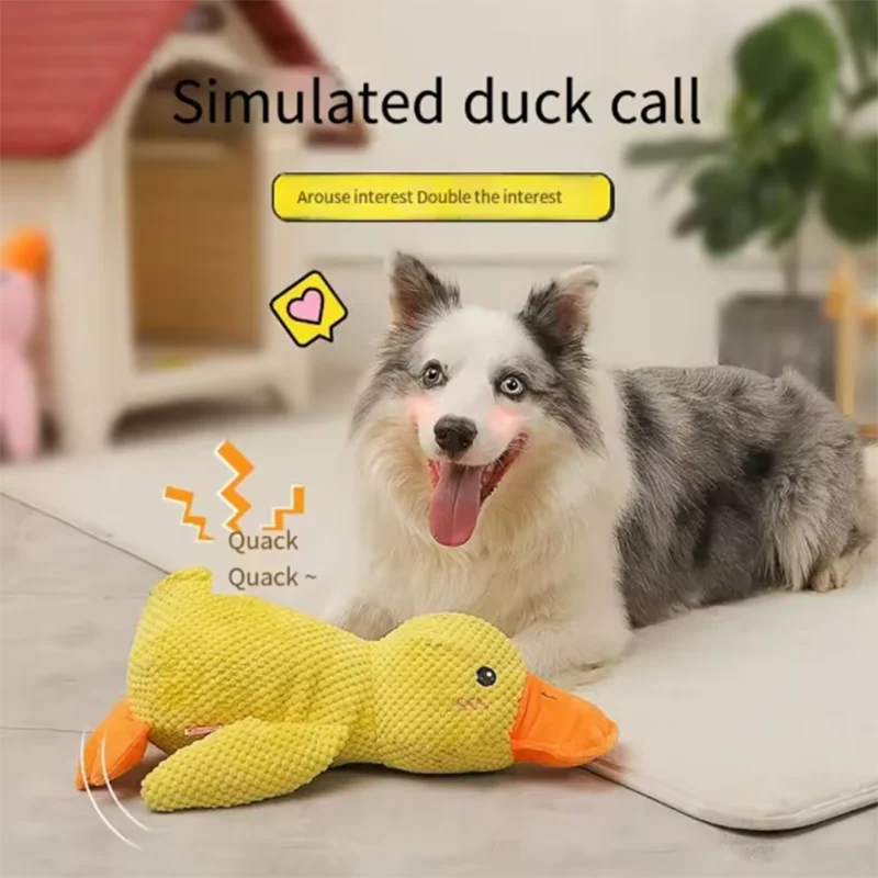 Peluche canard couineuse pour chien