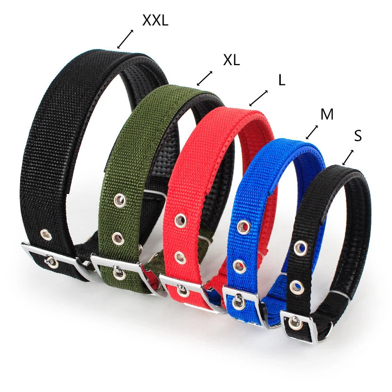 Collier en nylon pour chien