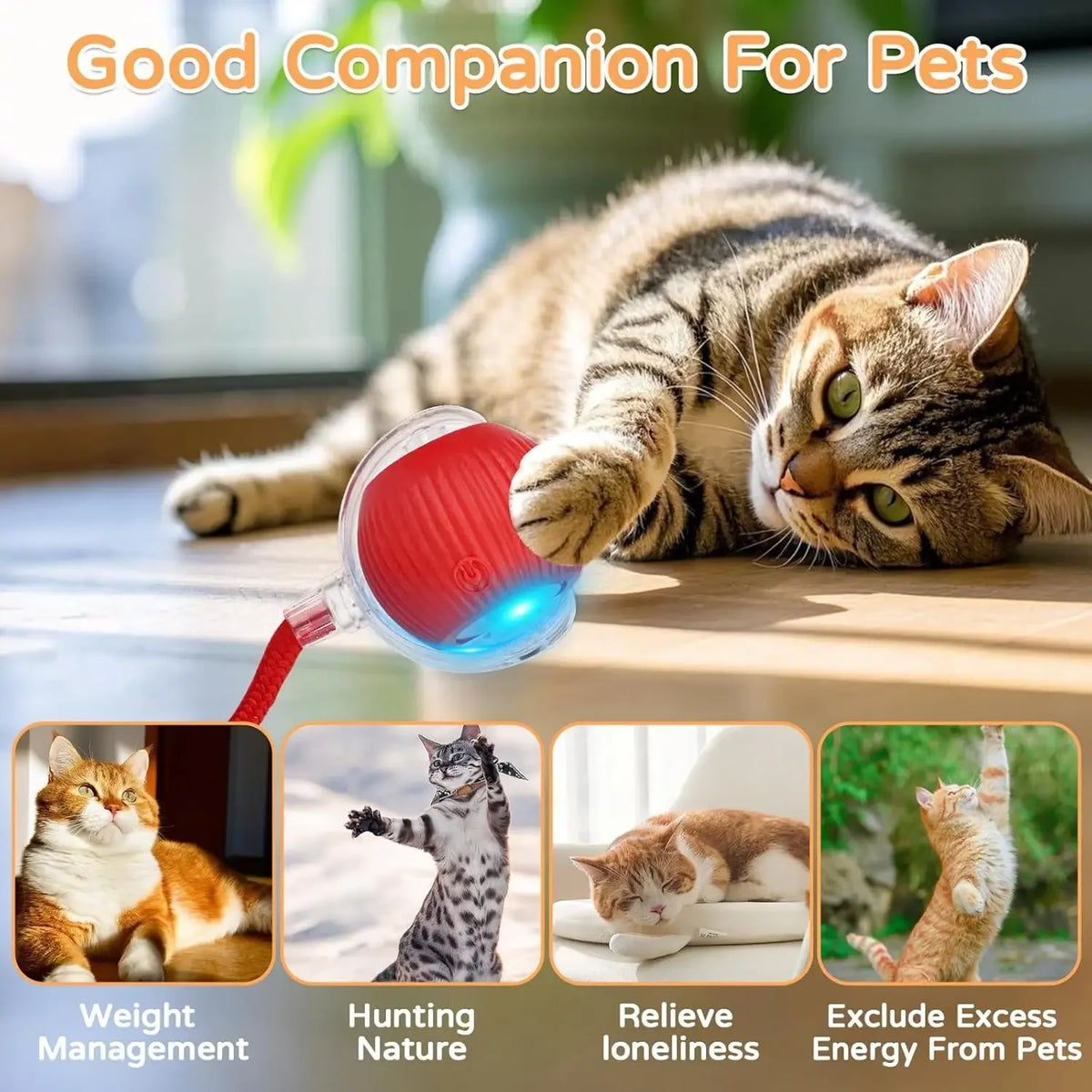 Balle interactive intelligente pour chat
