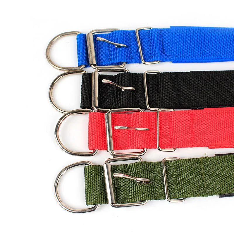 Collier en nylon pour chien