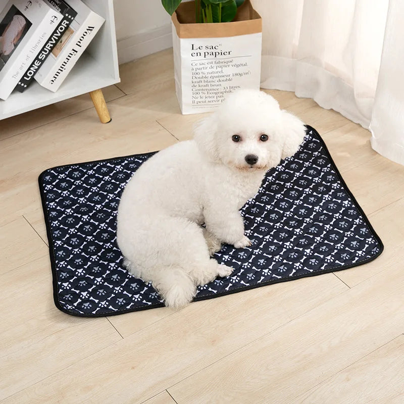 Tapis absorbant lavable pour chien