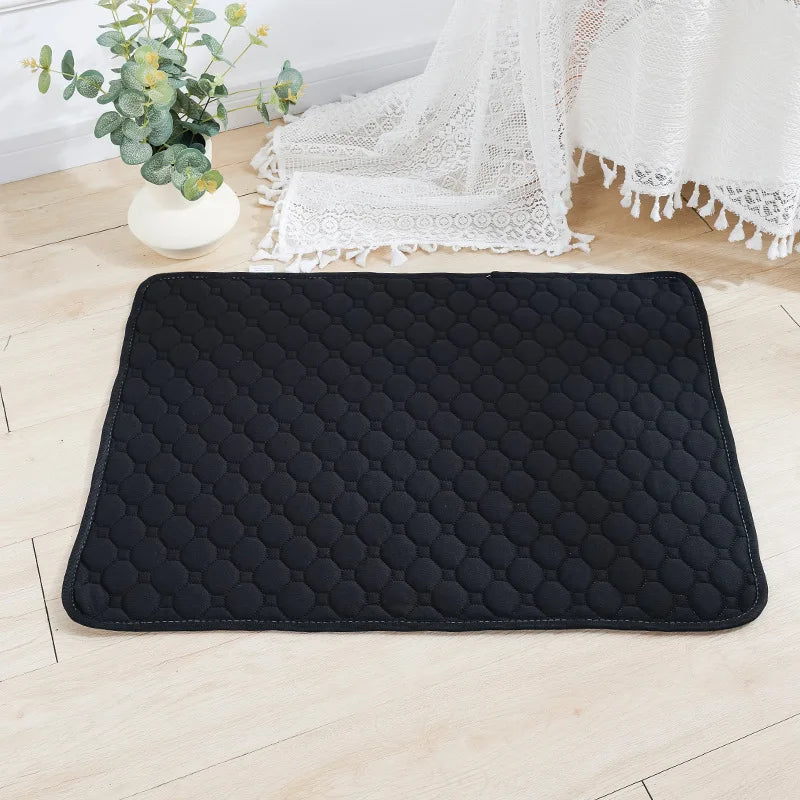 Tapis absorbant lavable pour chien