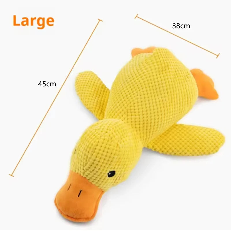 Peluche canard couineuse pour chien