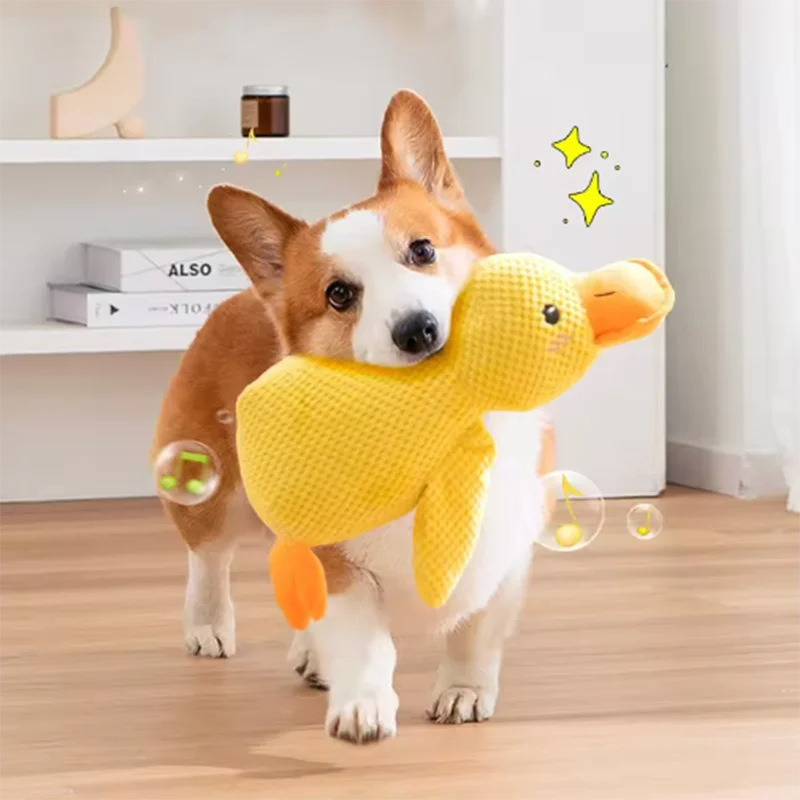 Peluche canard couineuse pour chien