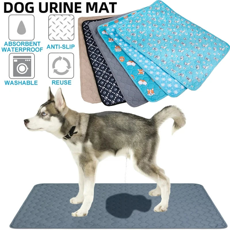 Tapis absorbant lavable pour chien