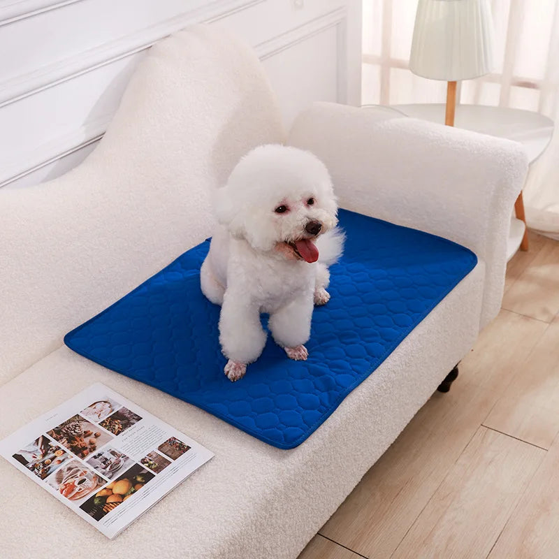 Tapis absorbant lavable pour chien