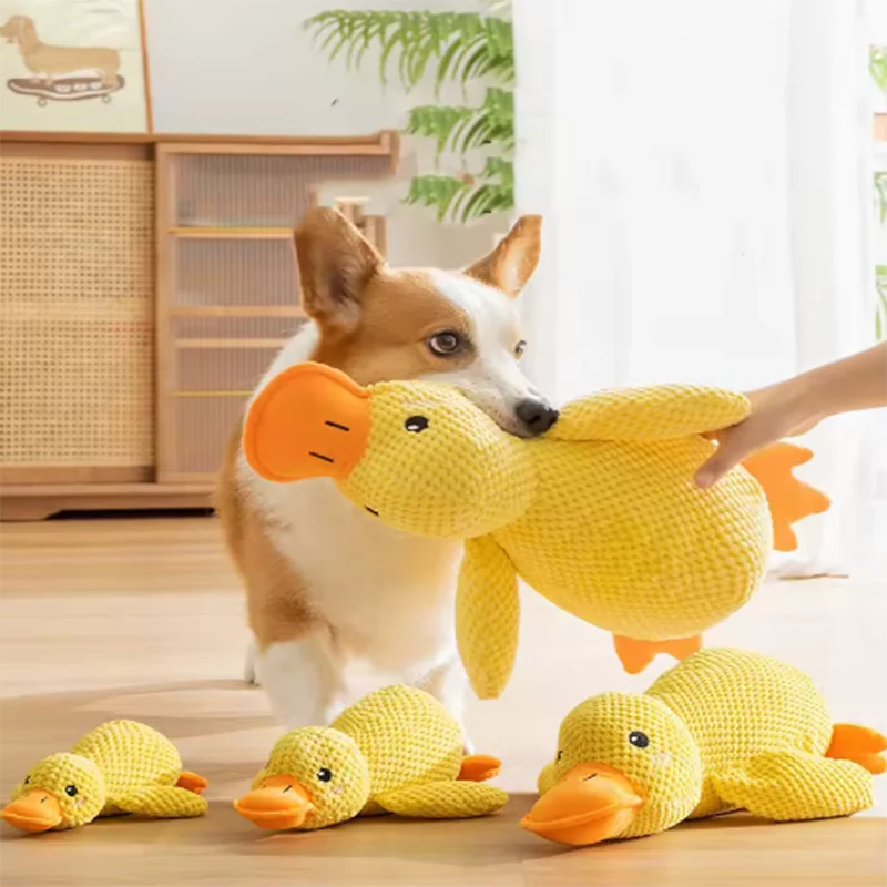 Peluche canard couineuse pour chien