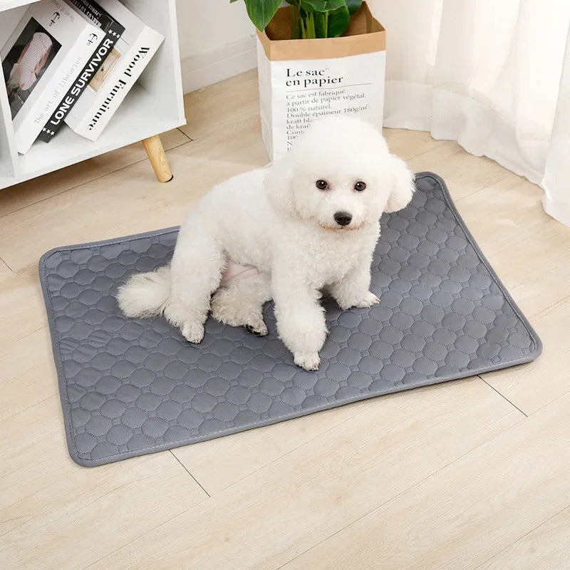 Tapis absorbant lavable pour chien