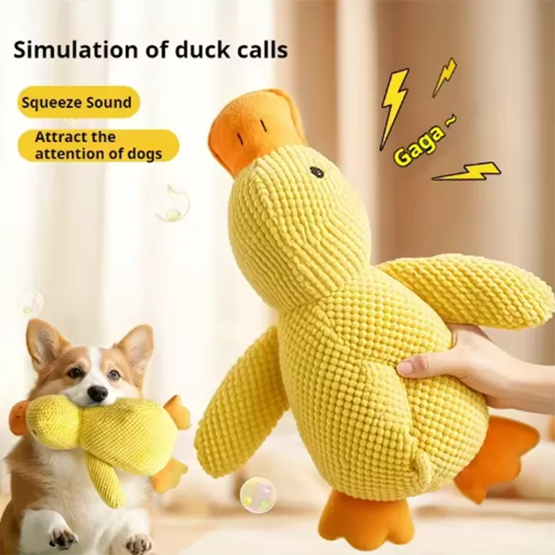 Peluche canard couineuse pour chien