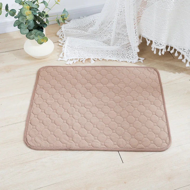 Tapis absorbant lavable pour chien