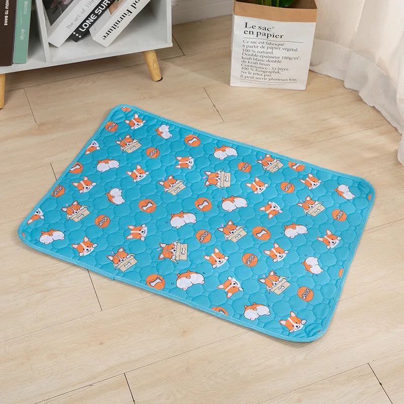 Tapis absorbant lavable pour chien