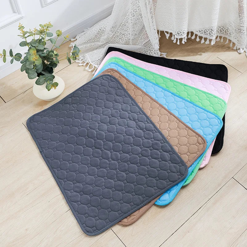 Tapis absorbant lavable pour chien