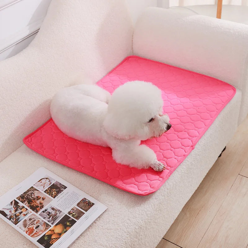 Tapis absorbant lavable pour chien