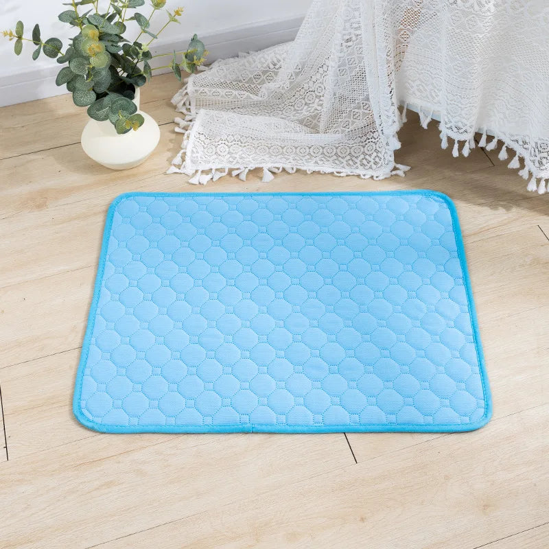 Tapis absorbant lavable pour chien