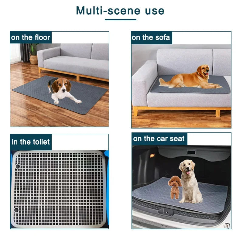 Tapis absorbant lavable pour chien