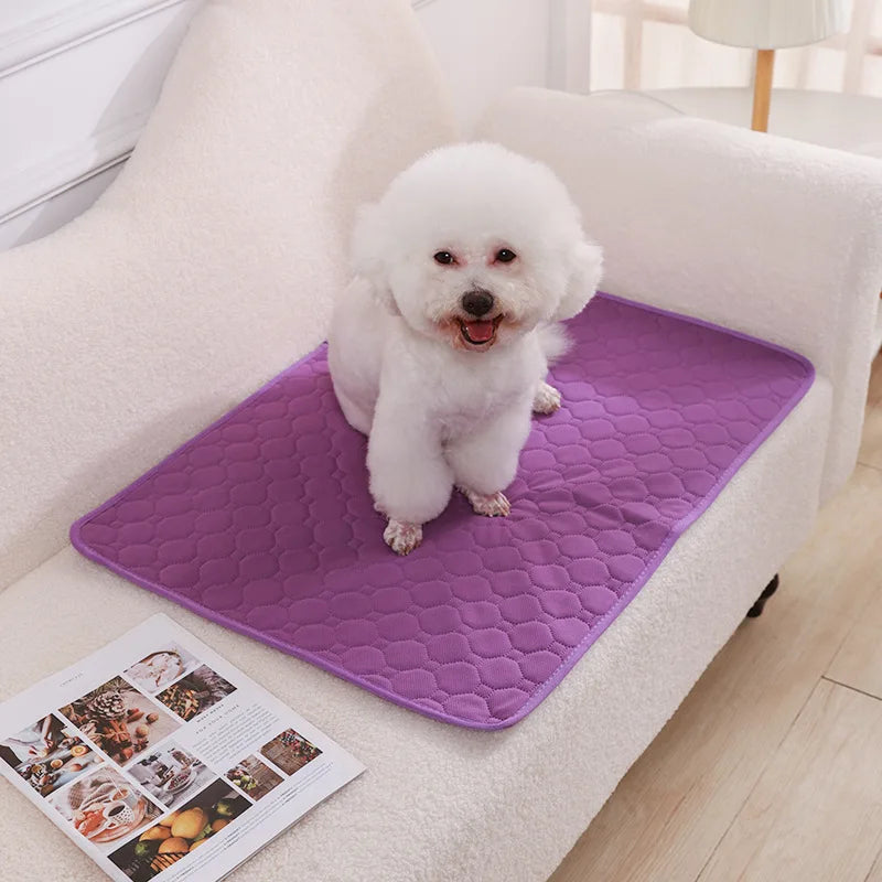 Tapis absorbant lavable pour chien