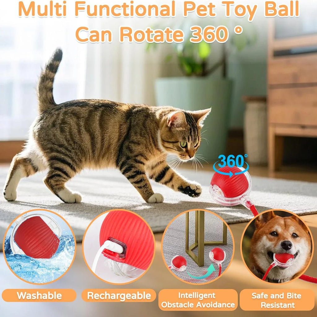 Balle interactive intelligente pour chat