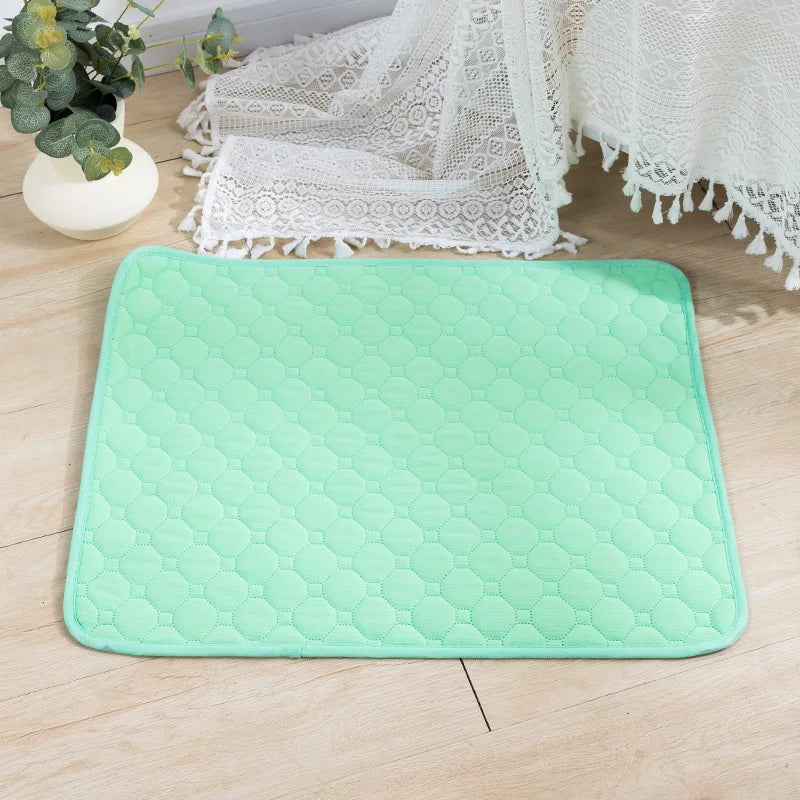 Tapis absorbant lavable pour chien